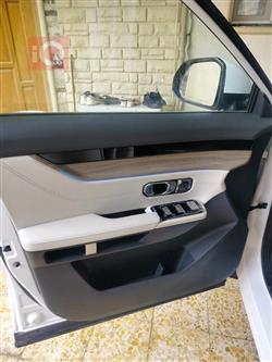 جيتور داشينج